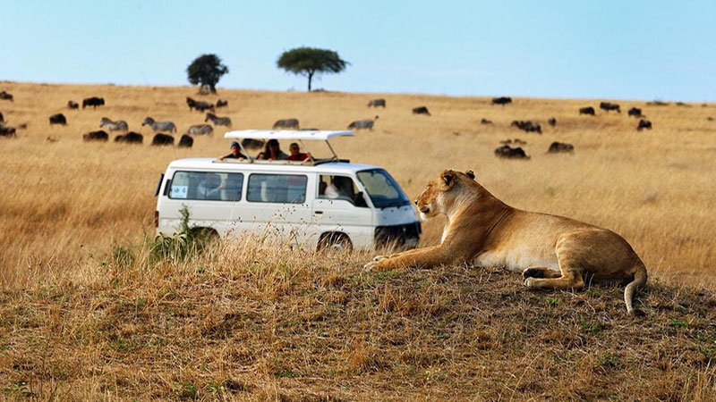 Safari-van -to-masai-mara
