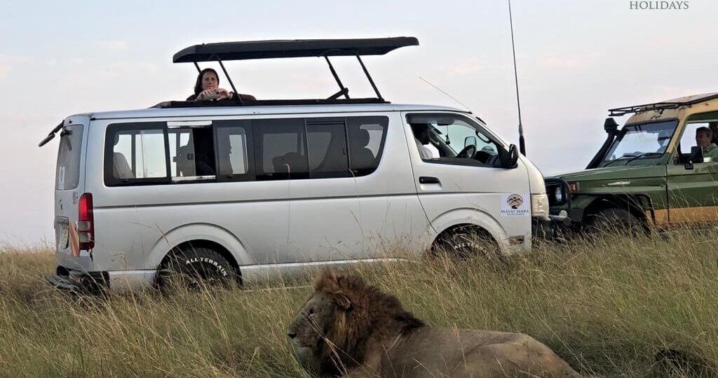 Safari Van in Masai Mara