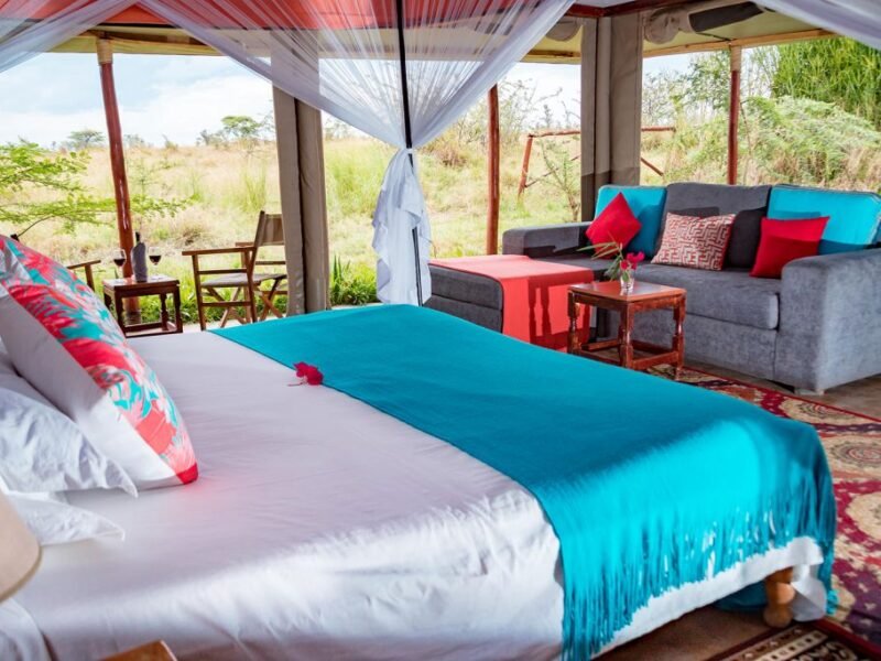 Zebra Plains Mara Camp: In the Heart of Maasai Mara